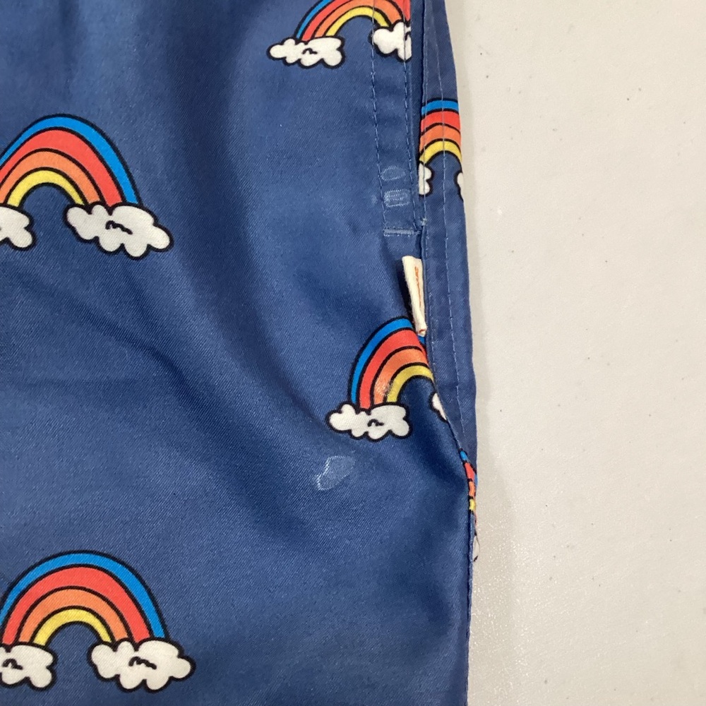 Pacsun Ambsn California Rainbow Swim Trunks - Picture 8 of 8